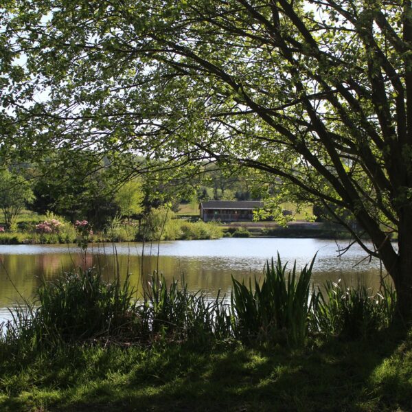 Blake Hall Fishery