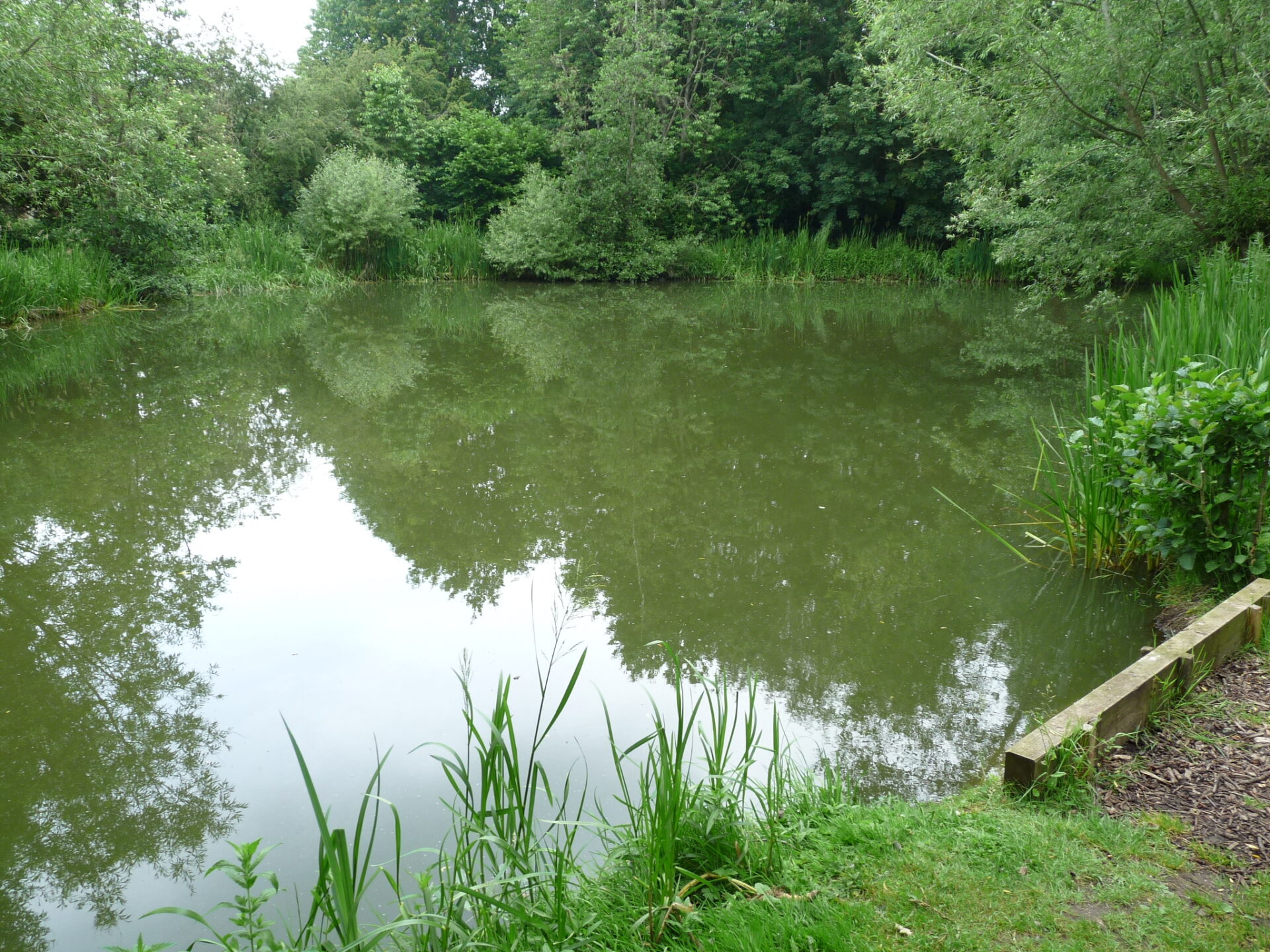 Fisheries launch ‘Winter Special’ offers