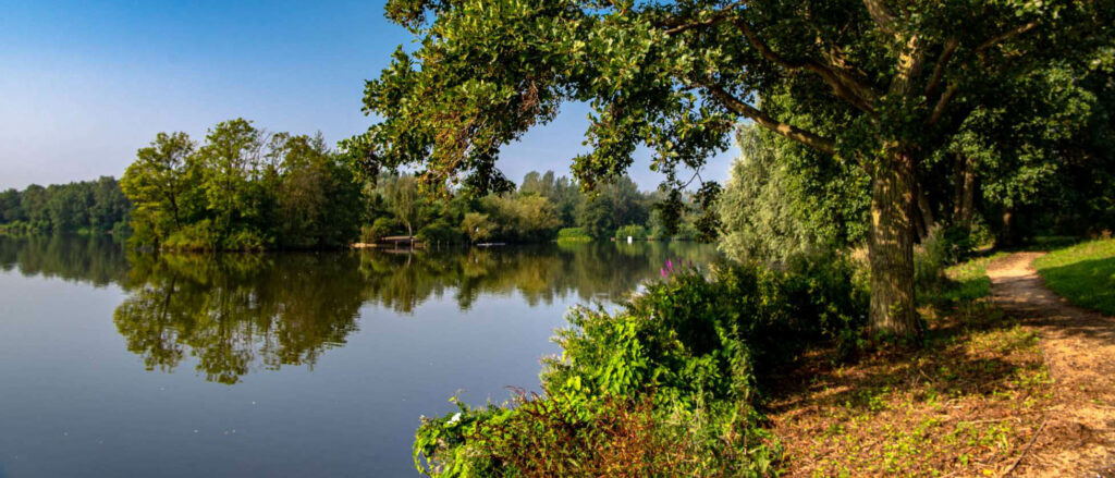 Arrow Valley Lake