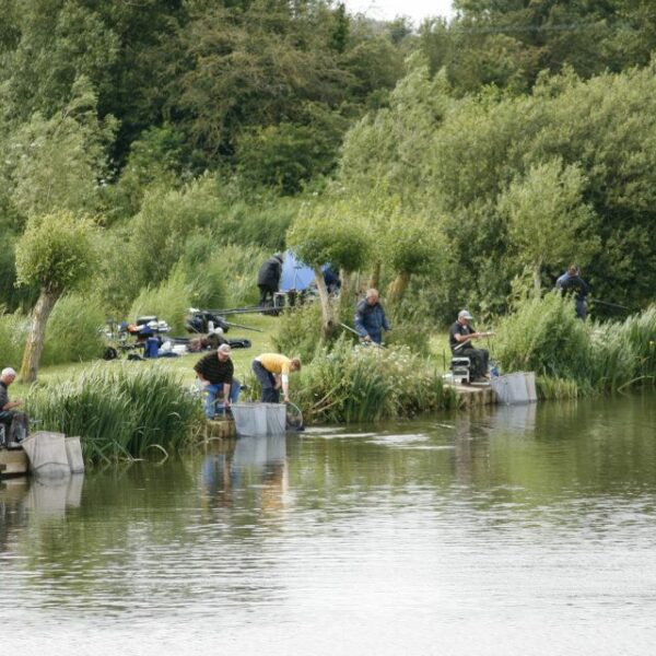 The Sedges Fishery