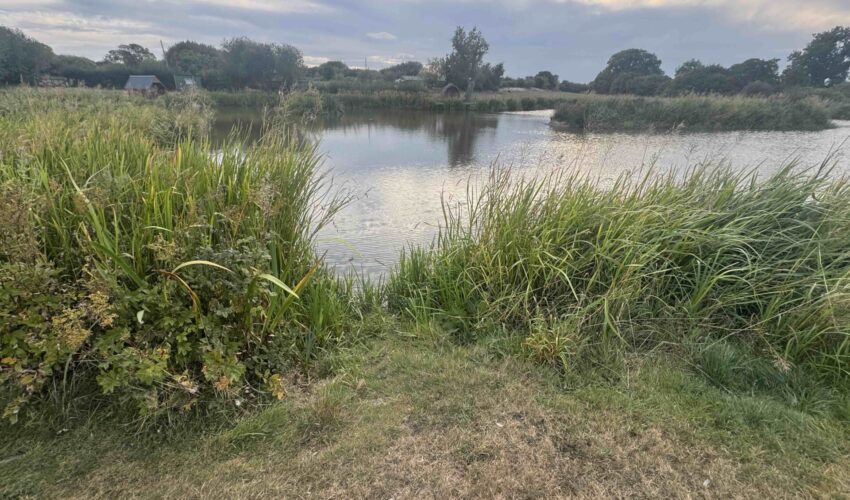 A Summer Update from Spring Rock Fishery