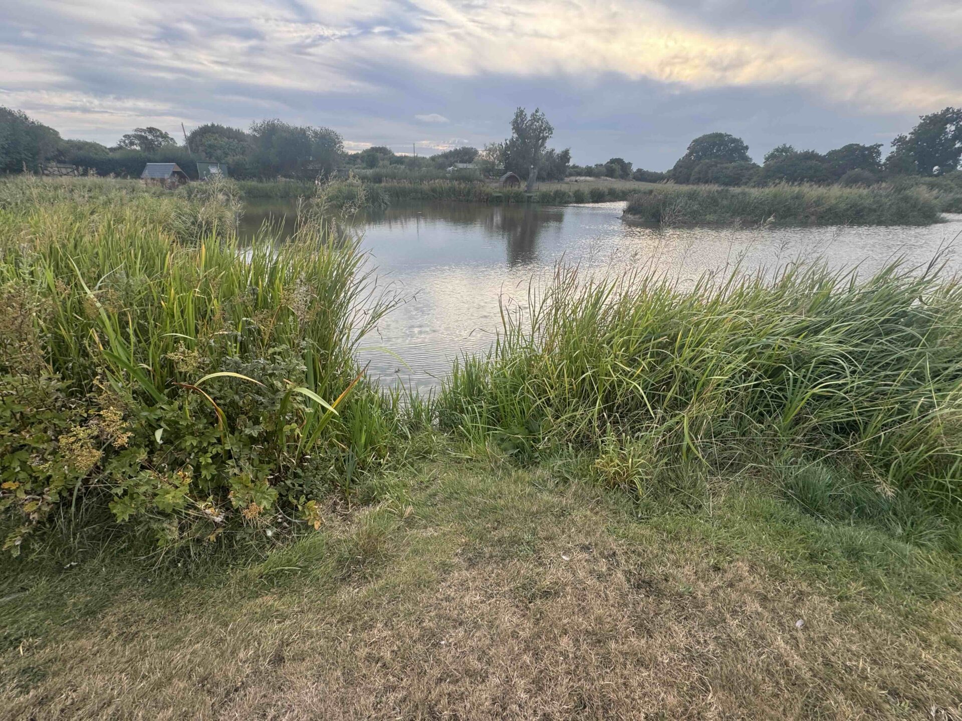 A Summer Update from Spring Rock Fishery
