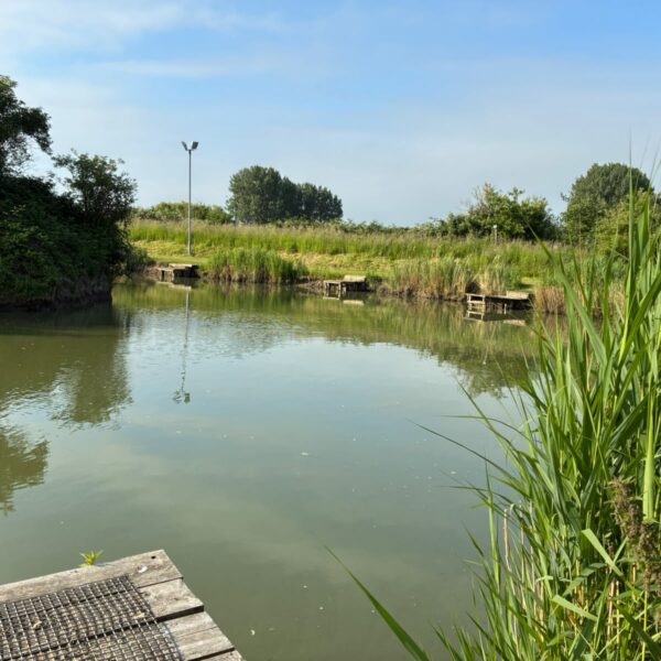 Buttonhole fishery in Norfolk