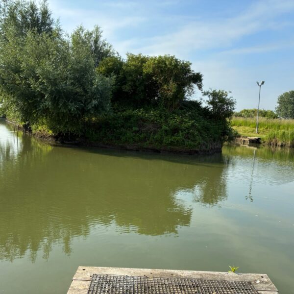 Buttonhole fishery in Norfolk