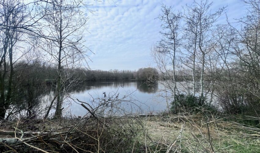 Exciting updates from The Folly Lakes: Getting ready for a record-breaking summer